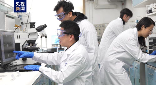 我國科研人員實現二維金屬碲化物材料宏量制備，助力材料科學規?；瘧? />
</span>
<span id=